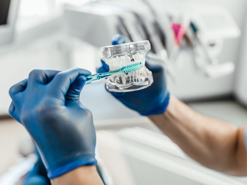 dentistry-models-human-teeth-manufacture-dental-prostheses-installation-implants-with-toothbrush-scaled